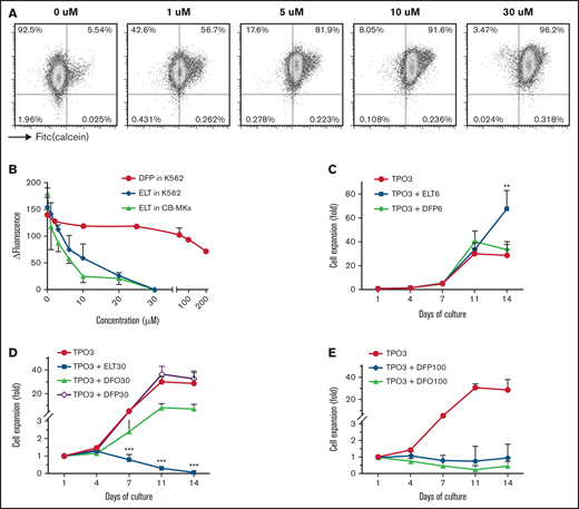 Dose-dependent iron-chelating effects of ELT on megakaryopoiesis. (A) The iron-chelating effects of ELT were evaluated using the calcein iron assay in K562 cells. Free calcein fluorescence increased as intracellular free iron decreased in response to ELT in a dose-dependent manner. (B) ΔFluorescence, calculated as the maximal calcein fluorescence minus the fluorescence with a specific treatment, was used to reflect the intracellular LIP, which decreased with increasing ELT concentrations. Thirty µM ELT always induced the highest calcein fluorescence, which was used as maximal fluorescence for these calculations. Shown are the results for CB-MKs treated with ELT (n = 4), K562 cells treated with ELT (n = 3), and K562 cells treated with the intracellular iron chelator DFP (n = 3). (C-E) CB-CD34+ cells were cultured with TPO3 alone, TPO3 plus the indicated concentrations (µM) of ELT, or TPO3 plus the iron chelators DFO or DFP for 14 days. Cells were counted biweekly at the time of media changes. Compared with TPO3, ELT6 significantly stimulated cell growth (C), whereas ELT30 suppressed cell growth (D), similarly to DFO100 or DFP100 (E). Data shown represent the mean ± standard deviation (SD) of 4 independent cultures. **P < .01; ***P < .001.