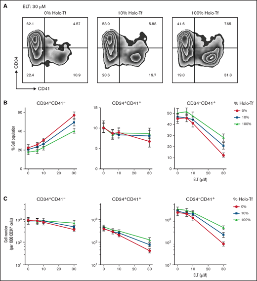 Iron status influences early MK differentiation and expansion in response to ELT. CB CD34+ cells were cultured in conditions of iron depletion (0% HOLO), iron deficiency (10% HOLO), and iron repletion (100% HOLO) and with TPO plus different ELT concentrations. Cell number and differentiation were analyzed on culture-day 7 by flow cytometry. (A) Representative results of flow cytometric analysis of CD34 (y-axis, PE) and CD41 expression (x-axis, APC) in cells cultured with TPO3 plus ELT30 and various levels of iron availability, showing increased CD41 differentiation with increased iron availability. (B) Distribution of cell populations based on CD34 and CD41 surface expression on day 7 of culture with TPO3 plus escalating concentrations of ELT. Each line represents different levels of iron availability in culture. (C) Absolute cell numbers of each population were calculated based on cell numbers and percentages and are shown based on ELT concentration and iron status. Each data point reflects the mean ± SD from 6 independent experiments.