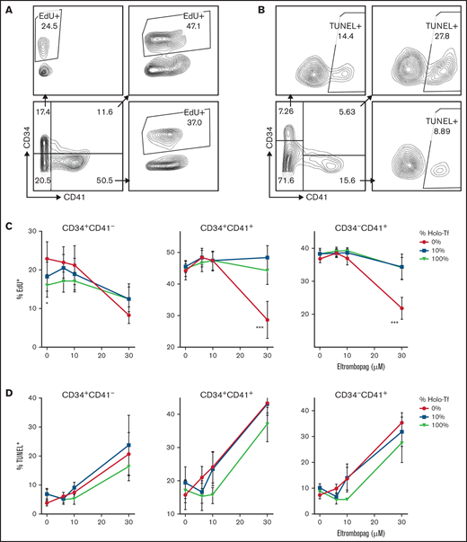 Effects of ELT on cell proliferation and apoptosis. The effects of ELT on cell proliferation and apoptosis were assessed on day 7 of culture using EdU incorporation and TUNEL assays, respectively. (A) Representative FACS density plots showing EdU incorporation in different cell populations. (B) Representative FACS density plots showing the TUNEL+ fraction in different cell populations. (C) In EdU incorporation assays, 30 µM of ELT significantly suppressed the proliferation of CD34+CD41+ and CD34−CD41+ cells cultured in iron-depleted conditions, a finding that was reversed by increased iron availability in culture. In contrast, CD34+/CD41− cells cultured with TPO only had significantly higher EdU incorporation when cultured in iron-depleted conditions. (D) Thirty µM of ELT also induced apoptosis in all 3 cell populations, but increased iron availability did not significantly reduce the level of apoptosis. Data reflect the mean ± SD of 5 independent experiments. *P < .05; ***P < .001.