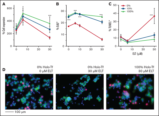 ELT concentration and iron status influence the proliferation and apoptosis of committed MK progenitors. For these studies, CD34+cells were cultured for 7 days in iron-depleted, iron-deficient, and iron-replete conditions with 50 ng/mL of TPO to generate committed MK progenitors with variable iron status. At the end of 7 days, cells (mostly committed MK progenitors) were cultured for an additional 3 days in the same media but supplemented with TPO3 and escalating ELT concentrations. (A) Cell expansion improved with improved iron status and was maximal in cells preloaded with iron and cultured with ELT6. (B) Iron deficiency significantly reduced cell proliferation at all ELT concentrations but most strikingly in cells cultured with ELT30. (C) Treatment with ELT30 for 3 days significantly increased MK apoptosis in iron-depleted cells. This effect was attenuated in cells with improved iron status. (D) Representative images of EdU incorporation assays after FACS analysis: 0% HOLO and 0 µM ELT (left), 0% HOLO and 30 µM ELT (middle), and 100% HOLO and 30 µM ELT (right). EdU+ cells were identified by their red nuclear staining. CD41 was labeled in green, and DAPI was used for nuclear staining. N = 6 independent experiments. *P < .05; ***P < .001.