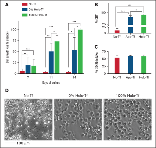 Effects of iron deficiency on in vitro TPO induced megakaryopoiesis. To evaluate the effects of iron deficiency on TPO-induced megakaryopoiesis (in the absence of ELT), CD34+ cells were cultured for 14 days in medium supplemented with either 100% HOLO, 100% APO, or no transferrin and 50 ng/mL of TPO to stimulate maximal proliferation and maturation. (A) Bars display the percentage of cells in every condition and timepoint related to the number of CD41+ cells generated at the end of 14 days in cultures with 100% HOLO (set at 100%). Cell expansion was reduced in cultures containing 0% HOLO compared with those with 100% HOLO, starting on day 11 of culture. (B) The percentage of CD41+ cells was also reduced by iron deficiency, with severe reductions in cultures without transferrin. (C) The maturation of committed MKs, indicated as the percentage of CD42b+ cells in the CD41 positive population, was not influenced by iron status. (D) Shown are representative photomicrographs of cells on day 14 of culture. Cells in 100% APO were reduced in number, and cultures without transferrin exhibited extensive cell death. Images present the average of 4 independent experiments. *P < .05; **P < .01; ***P < .001.