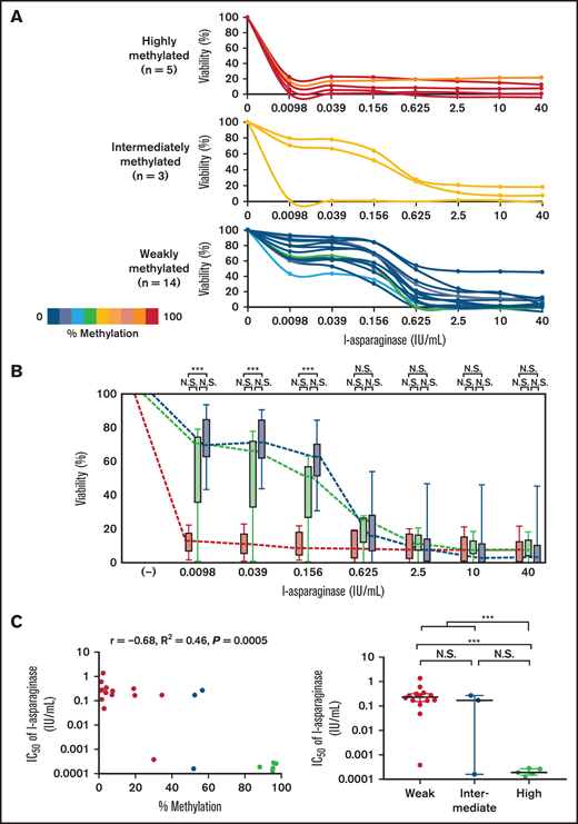 Association of ASNS methylation with l-asparaginase sensitivity in T-ALL cell lines. (A) Dose–response curves of l-asparaginase sensitivity in 22 T-ALL cell lines. The colors of the curves show percent methylation of ASNS in each cell line. (B) Dose–response curves of l-asparaginase sensitivity in 3 groups of T-ALL cell lines with different ASNS methylation status. Box plots indicate cell viabilities in ASNS highly (red), intermediately (yellow), and weakly (blue) methylated cell lines at each concentration. (C) Association of ASNS methylation with asparaginase sensitivity in T-ALL cell lines. In the left panel, the horizontal axis indicates the percent methylation of the ASNS gene and the vertical axis indicates the log IC50 value of asparaginase. The correlation coefficient and P value in the Spearman correlation test are shown. In the right panel, the log IC50 value of asparaginase is compared among ASNS highly methylated (red), intermediately methylated (yellow), and weakly methylated (blue) cell lines. Asterisks indicate significance in the Mann-Whitney U test. ***P < .001. N.S., not significant.