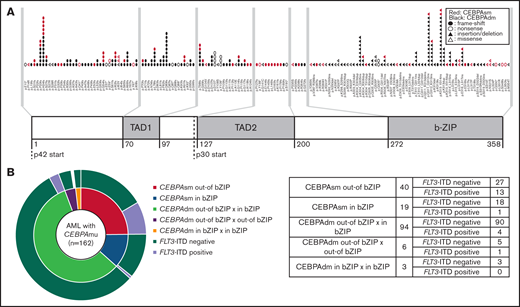 Summary of CEBPA mutations in the primary cohort. (A) Distribution of CEBPA mutations. (B) Overlapping pattern of CEBPA mutations