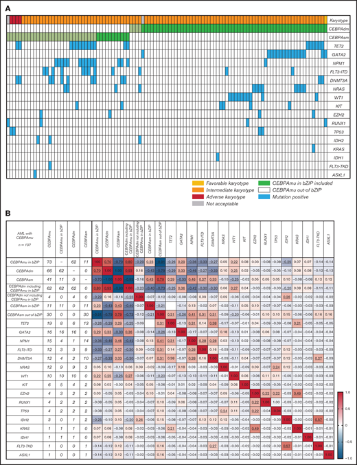 The spectrum of concurrent mutations among different genes. (A) The overview of individual somatic mutations detected in AML with CEBPAmu. Columns represent patients with CEBPA mutations (66 patients with CEBPAdm and 41 patients with CEBPAsm), and rows represent the genotypes. (B) Correlation matrix based on the Pearson correlation coefficient analyses. The Pearson product-moment correlation coefficients were calculated, and correlation matrices were constructed for 107 patients with AML with CEBPAmu. Different colors are used to represent different correlation strengths. The color scale is defined by the color bar legend. Here, the red color suggests a strong positive correlation, whereas the blue color indicates a strong negative correlation. The underline represents the P value <.05.