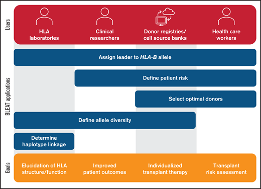 Utility of BLEAT for diverse applications. The assignment of the leader genotype to the HLA-B allele may be useful for downstream applications by HLA laboratories, clinical researchers, donor registries, cell source banks, and health care workers. For HLA laboratories involved in basic research, these include exploration of allele diversity and haplotype linkage involving HLA-B to examine HLA structure and function. Laboratories may also supply this information for clinical research pursuits in understanding historical patient risk or modeling future risk to improve outcomes. Health care workers can apply BLEAT toward the selection of optimal donors based on transplant risk that can also be facilitated by donor registries or cell source banks. The assessment of HLA-B allele diversity can also aid in ensuring that therapies are available for diverse populations and enable individualized treatment.