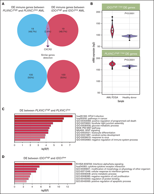 IDO1 and PLXNC1 are overexpressed and may reflect independent biological processes in AML. (A) Representation of the top 20 DE genes between PLXNC1high/low and IDO1high/low samples (P value threshold of 0.01; log2 fold-change threshold of 1.4). (B) The expression of the top 20 DE genes between PLXNC1high/low and IDO1high/low samples was higher in TCGA-AML cases compared with blood samples from healthy donors available through the GTEx project. (C) Enrichment analysis showing the top significant pathways associated with DE genes between PLXNC1high/low samples. (D) Enrichment analysis showing the top significant pathways associated with DE genes between IDO1high/low samples.