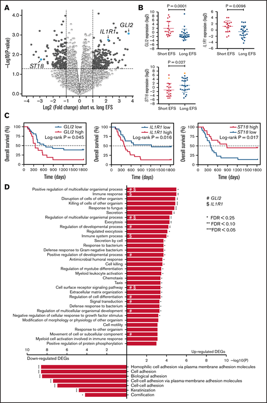 Differential gene expression between AML samples associated with short vs long EFS. (A) Volcano plot showing DEGs with genes downregulated (log2FC<0) and upregulated (log2FC>0), respectively, in diagnosis samples associated with short EFS compared with long EFS-associated diagnosis samples. Highly ranked genes are highlighted in dark gray (P < .05; |log2FC|>1), with GLI2, IL1R1, and ST18 highlighted in blue. Visualization and underlying statistical calculations were performed by using Qlucore Omics Explorer version 3.6. (B) Scatter plots with mean and SD illustrating the log2-transformed, TMM-normalized expression values in samples associated with short vs long EFS for GLI2, IL1R1, and ST18. Applied statistical test, Mann-Whitney test. Samples highlighted in orange in the scatter plot illustrating ST18 harbor an inversion on chromosome 16, leading to a CBFB-MYH11 gene fusion. (C) Kaplan-Meier plots showing 5-year OS for cases with low expression (blue lines) and high expression (red lines) of GLI2, IL1R1, and ST18 at diagnosis. The average expression value for the respective gene over all samples included in the analysis was used to discretize between low and high expression. P values were calculated by using the log-rank (Mantel-Cox) test. (D) GO analysis of DEGs between short vs long EFS-associated samples. GO terms presented above the x-axis are enriched among genes upregulated in samples associated with short EFS, whereas pathways below the x-axis are enriched among downregulated genes. Short EFS was considered as <0.5 year for adults and <1.0 year for pediatric patients. Supplemental Table 10A presents details regarding samples included in this figure, supplemental Table 11 presents details for all DEGs, and supplemental Table 13 presents details regarding statistical results associated with panel C. *False discovery rate (FDR) < 0.25, **FDR < 0.1, ***FDR < 0.05 (Benjamini-Hochberg correction). #GLI2, $IL1R1. SD, standard deviation.