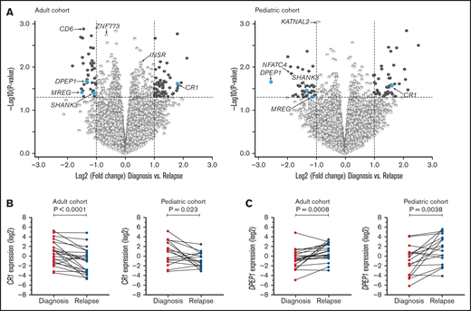 Differential gene expression between paired diagnosis and relapse samples. (A) Volcano plots presenting DEGs with genes downregulated (log2FC<0) and upregulated (log2FC>0), respectively, at diagnosis compared with relapse samples, for adult and pediatric cases separated. Highly ranked genes are highlighted in dark gray (P < .05; |log2FC|>1) or blue (highly ranked in both the adult and pediatric R/PR AML cohorts). Visualization and underlying statistical calculations were performed by using Qlucore Omics Explorer version 3.6. (B-C) Spaghetti plots displaying gene expression data comparing patient-matched diagnosis and relapse samples for CR1 (B) and DPEP1 (C). The y-axis represents log2-transformed, TMM-normalized expression values. Applied statistical test, Wilcoxon matched-pairs test. Supplemental Table 10B provides details regarding samples included in this figure, and supplemental Table 14 provides details for all DEGs.