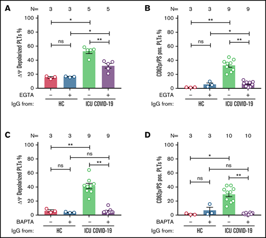 ICU COVID-19 IgG-induced formation of procoagulant PLTs is dependent on calcium. Panel (A-B) shows ICU COVID-19 IgG-induced changes of different PLT markers in the presence (vehicle) or absence of extracellular calcium (EGTA 1 mM). FC detected changes of (A) PLT Δψ and (B) formation of CD62p/PS-positive PLTs after ICU COVID-19 IgG incubation in vehicle or EGTA pretreated wPLTs, respectively. (C-D) ICU COVID-19 IgG-induced PLT changes in the presence (vehicle) or in intracellular calcium depleted (BAPTA 20 µM) wPLTs. FC detected changes of (C) PLT Δψ and (D) formation of CD62p/PS-positive PLTs induced by ICU COVID-19 IgG in vehicle or BAPTA preloaded wPLTs, respectively. Data are presented as mean percentage ± SEM of (A,C) Δψ depolarized PLTs and mean percentage ± SEM of (B,D) PS (Lactadherin-FITC) and CD62p-APC-positive wPLTs. Note that lactadherine is a calcium-independent marker of PS externalization. The number of patients and healthy donors tested is reported in each graph. See Figure 1 for P values and abbreviation definitions.