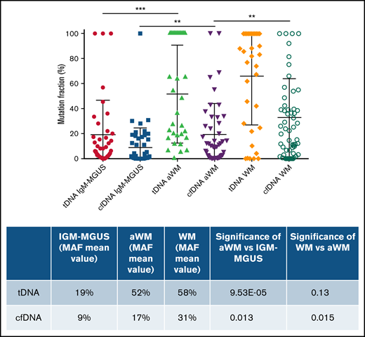 MAF among patients with IgM monoclonal gammopathy. The mutation detector analysis software revealed the following: IgM-MGUS patients had a median MYD88L265P MAF of 7.74% and 1.6% for tDNA and cfDNA, respectively; aWM patients had a median MAF of 42% and 10% for tDNA and cfDNA; and sWM patients had a median MAF of 84.5% and 26% for tDNA and cfDNA.