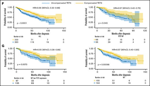 Compensatory mechanism by TET3 expression and correlation with clinical phenotypes. (A) Bar graphs representing TET2 and TET3 expression (log2_CPM) in TET2 WT (n = 577) MDS patients vs healthy controls (HC, n = 64), ***P < .0001. (B) Schematic representation of the role of L-2-hydroxyglutarate (L2HG) and L2HG dehydrogenase (L2HGDH) in cellular TETs function and global methylation status. (C) L2HGDH mRNA expression levels (log2_CPM) in HC (n = 64), TET2 MT (n = 203), IDH MT (n = 35), and TET2 (n = 577). (D-E) TET2 and TET3 vs L2HGDH mRNA expression (log2_CPM) in TET2 WT patients (n = 577). Kaplan-Meier curves estimate the probability of survival of patients stratified according to uncompensated and compensated TET3 (cutoff, median of expression in the entire cohort) in (F) TET2 MTs (right panel) and all cohort (left panel) and (G) WT cases with low TET2 expression (left panel) and all WT cases (right panel). P values and hazard ratios are depicted in the corresponding panels.
