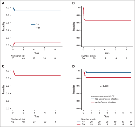Survival. (A) Overall survival (OS) and transplant-related mortality (TRM) of the whole cohort. (B) Event-free survival of the whole cohort. (C) Disease-free survival of the whole cohort (excluding 2 patients with ALD, who had CNS involvement at the time of HSCT). (D) OS according to infectious status at transplant (ie, active or recent infection at the time of HSCT versus no infection).