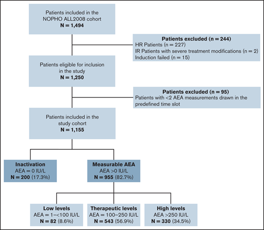 Flowchart of included patients in the study cohort and subgroups.