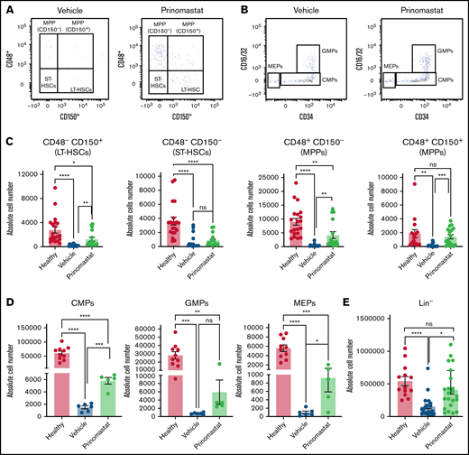 Prinomastat protects healthy HSPCs and, combined with chemotherapy, increases survival. (A-B) Flow cytometry plots showing LKS and Lin- cKit+ Sca-1- cell populations in leukemic mice that received PBS or prinomastat, and with >70% BM infiltration. (C) Absolute number of LT-HSCs, ST-HSCs, and MPP populations per leg in healthy and leukemic, PBS- or prinomastat-treated mice. (D) Absolute number of CMPs, GMPs, MEPs per leg in healthy and leukemic, PBS- or prinomastat-treated mice. (E) Absolute number of lineage- cells per leg in healthy and leukemic, PBS- or prinomastat-treated mice. (C-E) n = 5-22 mice per condition pooled from up to 5 independent experiments. (F) CXCL12, TGF-β, CXCL4, SCF1, TPO levels (pg/mL) measured in BM supernatant from healthy control, vehicle- and prinomastat-treated leukemic mice by ELISA. Each dot represents 1 mouse. n = ≥3 per condition for each of the tested factors. (G) Kaplan-Meyer curve showing survival of mice receiving chemotherapy alone, prinomastat alone, prinomastat in combination with chemotherapy, or vehicle control (PBS). n = 6 for chemotherapy only and chemotherapy + prinomastat groups. n = 5 for prinomastat and PBS only groups. (H) Absolute number of L-GMPs within the BM of vehicle- and prinomastat-treated leukemic mice (day 23). n = 8 vehicle-treated and n = 9 prinomastat-treated AML burdened mice. Data are shown as mean ± SEM. *P < .05; **P < .01; ***P < .001; ****P < .0001; ns, not significant. P values determined using multiple Student t tests with posthoc Holm-Sidak corrections or 1-way ANOVA and the log-rank test in (G).