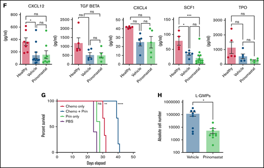 Prinomastat protects healthy HSPCs and, combined with chemotherapy, increases survival. (A-B) Flow cytometry plots showing LKS and Lin- cKit+ Sca-1- cell populations in leukemic mice that received PBS or prinomastat, and with >70% BM infiltration. (C) Absolute number of LT-HSCs, ST-HSCs, and MPP populations per leg in healthy and leukemic, PBS- or prinomastat-treated mice. (D) Absolute number of CMPs, GMPs, MEPs per leg in healthy and leukemic, PBS- or prinomastat-treated mice. (E) Absolute number of lineage- cells per leg in healthy and leukemic, PBS- or prinomastat-treated mice. (C-E) n = 5-22 mice per condition pooled from up to 5 independent experiments. (F) CXCL12, TGF-β, CXCL4, SCF1, TPO levels (pg/mL) measured in BM supernatant from healthy control, vehicle- and prinomastat-treated leukemic mice by ELISA. Each dot represents 1 mouse. n = ≥3 per condition for each of the tested factors. (G) Kaplan-Meyer curve showing survival of mice receiving chemotherapy alone, prinomastat alone, prinomastat in combination with chemotherapy, or vehicle control (PBS). n = 6 for chemotherapy only and chemotherapy + prinomastat groups. n = 5 for prinomastat and PBS only groups. (H) Absolute number of L-GMPs within the BM of vehicle- and prinomastat-treated leukemic mice (day 23). n = 8 vehicle-treated and n = 9 prinomastat-treated AML burdened mice. Data are shown as mean ± SEM. *P < .05; **P < .01; ***P < .001; ****P < .0001; ns, not significant. P values determined using multiple Student t tests with posthoc Holm-Sidak corrections or 1-way ANOVA and the log-rank test in (G).