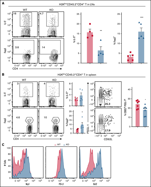 MiR-31 facilitates Th17/Treg imbalance and increases extrafollicular CD4 T-cell differentiation while inhibiting Treg stability. (A-C) Splenocytes (CD45.2+) from WT or miR-31 KO B6 mice were injected together with WT T cell–depleted (TCD) BM (CD45.1+) into lethally irradiated BALB/c mice. Frequencies of IL-17+ or Foxp3+ cells in gated live donor H2Kb+CD45.2+ CD4 T cells are shown in recipient skin-draining LNs (A) and spleens (B) on day 50 to 60 after BMT. Frequencies of CD62LloPSGL-1lo cells in gated live H2Kb+CD45.2+CD44+CD4 T cells are shown in recipient spleens on day 60 after BMT (top WT, bottom KO). Histograms for neuropilin 1 (Nrp1), PD-L1, and Bcl2 expression on gated H2Kb+CD45.2+Foxp3+ cells are shown (C). Data shown are from 1 representative of 3 individual experiments (n = 4-5 mice per group in each experiment). (D) CD4+CD25− T cells isolated from WT or miR-31 KO mice were stimulated with CD11c+ dendritic cells from BALB/c together with IL-2 (5 ng/mL), transforming growth factor β (5 μg/mL), and retinoic acid (40 nM). Frequency of Foxp3+ cells in gated live H2Kb+CD4+ cells is shown on day 5. (E-F) CD25hi-enriched induced Tregs (iTregs) were cultured in IL-2 (5 ng/mL), IL-12 (5 ng/mL), or IL-6 (10 ng/mL) in the presence of BALB/c APCs. Frequencies of Nrp1+ cells in gated live H2Kb+CD4+Foxp3+ cells (E) and Foxp3+ cells in gated live H2Kb+CD4+ cells (F) are shown. (G) Enriched iTregs (CD45.2+) were cocultured with B6 T cells (CD45.1+) at different ratios as indicated on the x-axis in the presence of BALB/c APCs. Frequencies of IFN-γ+ cells and live/dead dye+ cells in gated CD45.2+CD4+ cells and CFSElow cells in gated live CD45.1+ CD8 T cells are shown on day 4. (H) Enriched iTregs were injected together with BM cells (Rag1−/−) into lethally irradiated BALB/c mice followed by Teff cell (CD45.1+) transfer 3 days later. Expression of IFN-γ and CD25 on gated H2Kb+CD45.2+Foxp3+ cells is shown 4 days after Teff transfer. Data shown are from 1 representative of 2 individual experiments. *P < .05, **P < .01, ***P < .001, ****P < .0001. MFI, mean fluorescence intensity.