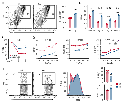 MiR-31 facilitates Th17/Treg imbalance and increases extrafollicular CD4 T-cell differentiation while inhibiting Treg stability. (A-C) Splenocytes (CD45.2+) from WT or miR-31 KO B6 mice were injected together with WT T cell–depleted (TCD) BM (CD45.1+) into lethally irradiated BALB/c mice. Frequencies of IL-17+ or Foxp3+ cells in gated live donor H2Kb+CD45.2+ CD4 T cells are shown in recipient skin-draining LNs (A) and spleens (B) on day 50 to 60 after BMT. Frequencies of CD62LloPSGL-1lo cells in gated live H2Kb+CD45.2+CD44+CD4 T cells are shown in recipient spleens on day 60 after BMT (top WT, bottom KO). Histograms for neuropilin 1 (Nrp1), PD-L1, and Bcl2 expression on gated H2Kb+CD45.2+Foxp3+ cells are shown (C). Data shown are from 1 representative of 3 individual experiments (n = 4-5 mice per group in each experiment). (D) CD4+CD25− T cells isolated from WT or miR-31 KO mice were stimulated with CD11c+ dendritic cells from BALB/c together with IL-2 (5 ng/mL), transforming growth factor β (5 μg/mL), and retinoic acid (40 nM). Frequency of Foxp3+ cells in gated live H2Kb+CD4+ cells is shown on day 5. (E-F) CD25hi-enriched induced Tregs (iTregs) were cultured in IL-2 (5 ng/mL), IL-12 (5 ng/mL), or IL-6 (10 ng/mL) in the presence of BALB/c APCs. Frequencies of Nrp1+ cells in gated live H2Kb+CD4+Foxp3+ cells (E) and Foxp3+ cells in gated live H2Kb+CD4+ cells (F) are shown. (G) Enriched iTregs (CD45.2+) were cocultured with B6 T cells (CD45.1+) at different ratios as indicated on the x-axis in the presence of BALB/c APCs. Frequencies of IFN-γ+ cells and live/dead dye+ cells in gated CD45.2+CD4+ cells and CFSElow cells in gated live CD45.1+ CD8 T cells are shown on day 4. (H) Enriched iTregs were injected together with BM cells (Rag1−/−) into lethally irradiated BALB/c mice followed by Teff cell (CD45.1+) transfer 3 days later. Expression of IFN-γ and CD25 on gated H2Kb+CD45.2+Foxp3+ cells is shown 4 days after Teff transfer. Data shown are from 1 representative of 2 individual experiments. *P < .05, **P < .01, ***P < .001, ****P < .0001. MFI, mean fluorescence intensity.
