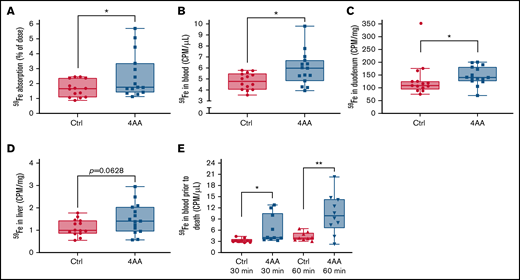 The 4 AA formulation increased iron absorption in chow-fed male mice. 2.5 µCi of 59Fe in the control (Ctrl) or 4 AA formulation was administered to each mouse by oral, intragastric gavage after a 2-hour fast. Two hours later, mice were sacrificed, and 59Fe absorption was quantified (as the percentage of the dose absorbed) (A), and 59Fe activity in the blood (B), duodenum (C), and liver (D) were measured. 59Fe activity was also assessed in the blood 30 and 60 minutes after gavage (E). Data were analyzed by Student’s t test. n = 14 for control and n = 15 for 4 AAs; *P < .05, **P < .01. One statistical outlier was removed from the Ctrl data set in (C) (marked in red).