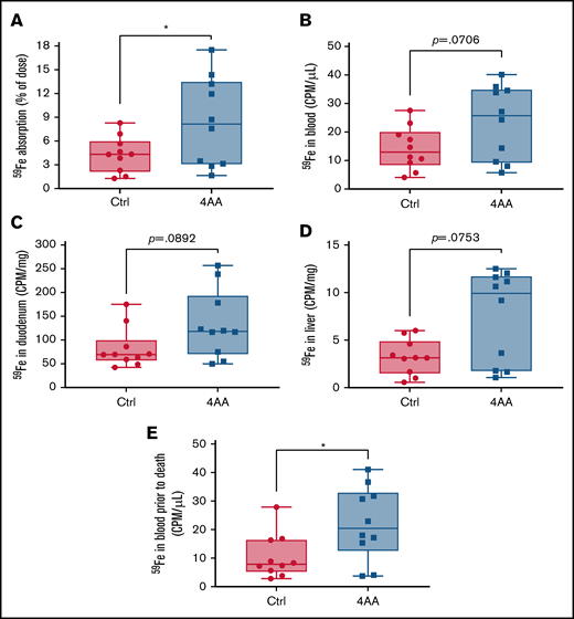 The 4 AA formulation stimulated 59Fe absorption in iron-deficient male mice. 2.5 µCi of 59Fe in the control (Ctrl) or 4 AA formulation was administered to each mouse by oral, intragastric gavage after a 2-hour fast. One hour later, mice were sacrificed, iron absorption (percent of dose) was calculated (A), and 59Fe activity was determined in the blood (B), duodenum (C), and liver (D). Blood was also taken from the tail vein 30 minutes after gavage, and 59Fe activity was measured (E). Student’s parametric t tests were performed unless variances were significantly different or normality was not achieved, and in that case, a nonparametric t test was performed. n = 10 per group; *P < .05.