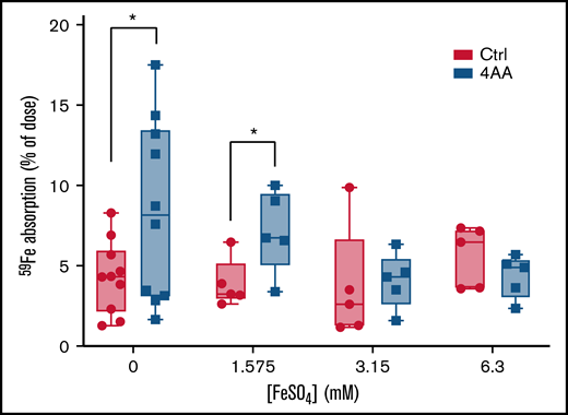 The 4 AAs stimulated iron absorption in iron-deprived male mice in the presence of 1.575 mM FeSO4. 2.5 µCi of 59Fe in the control (Ctrl) or 4 AA formulation, containing 0, 1.575, 3.15, or 6.3 mM FeSO4, was administered to each mouse by oral, intragastric gavage. Mice were sacrificed 1 hour after gavage to determine the percent of dose absorbed. Data were analyzed by Student’s t test at each iron concentration; n = 5 or 10 mice per group; *P < .05.