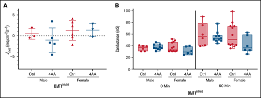 Ablation of intestinal DMT1 abolished the increase in iron flux induced by exposure to the 4 AA formulation. Duodenal epithelial tissues isolated from DMT1 intestine-specific knockout (DMT1int/int) mice were mounted in Ussing chambers and bathed in control or 4 AA formulations. Tissues were paired based on conductance, 15 µCi of 59Fe was added to one side of the chamber, and samples were acquired every 15 minutes from the other side for 1 hour. Jnet was calculated by subtracting Jsm from Jms. No significant difference was observed with respect to 59Fe flux (A) (n = 3-6 per group for Jnet) or conductance (B) (n = 6 to 12 per group) in the presence of the control or 4 AA formulations. Data were analyzed by Student’s t test for each sex and at each time point for conductance.