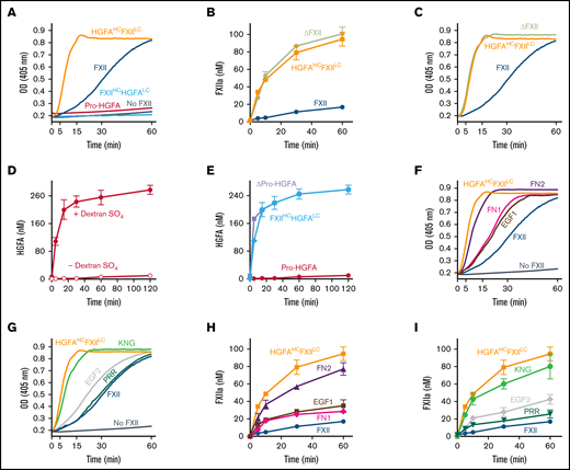 Factor XII, Pro-HGFA, and chimera activation. (A) Reciprocal activation. PK (60 nM) was mixed with 12.5 nM of FXII, Pro-HGFA, HGFAHC/FXIILC, FXIIHC/HGFALC, or vehicle (PK) and S-2302 (200 μM) and incubated at 37°C. Changes in optical density (OD) of 405 nm were continuously monitored on a spectrophotometer. (B) Activation of proteins with FXII catalytic domains. FXII, ΔFXII, or HGFAHC/FXIILC (100 nM) was incubated with PKa (12.5 nM) at 37°C. At indicated times, aliquots were removed and tested for FXIIa generation by chromogenic assay. (C) Reciprocal activation. PK (60 nM) was mixed with 12.5 nM of FXII, HGFAHC/FXIILC, or ΔFXII and S-2302 (200 μM) and incubated at 37°C. Changes in OD of 405 nm were continuously monitored on a spectrophotometer. (D-E) Activation of proteins with Pro-HGFA catalytic domains. (D) Pro-HGFA (260 nM) was incubated with thrombin (26 nM) with (•) or without (○) dextran sulfate (10 μg/mL) at 37°C. (E) Pro-HGFA (red), ΔPro-HGFA (lavender), or FXIIHC/HGFALC (light blue), at 260 nM each, were incubated with thrombin (26 nM) in phosphate-buffered saline at 37°C. For panels D and E, at the indicated times, samples of reactions were stopped and HGFA generation determined by chromogenic assay. (F-G) Reciprocal FXII activation with PK. PK (60 nM) was incubated at 37°C with 12.5 nM of FXII, FXII-FN2, FXII-EGF1, FXII-FN1, FXII-EGF2, FXII-KNG, or FXII-PRR and 200 μM of S-2302 at 37°C. Changes in OD of 405 nm were continuously recorded on a spectrophotometer. (H-I) FXII activation by PKa. FXII, HGFAHC/FXIILC, and the FXII-HCD chimeras (100 nM) were incubated with 12.5 nM of PKa at 37°C. At the indicated times, aliquots were removed and tested for FXIIa generation by chromogenic assay.