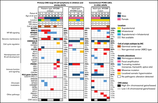 Genomic analysis identifies a unique pediatric subtype of EBV-negative primary CNS large B-cell lymphoma. Clinical, histologic, and genetic features of the 12 pediatric and young-adult patients with PCNS-LBCL, alongside 6 conventional cases of PCNS-LBCL occurring in older adults. Categorization into pediatric- and adult-type tumor groups was performed according to recurrent molecular alterations involving MYD88, PRDM1, CDKN2A/B, HLA gene cluster, NFKBIE, GNA13, and TP53.