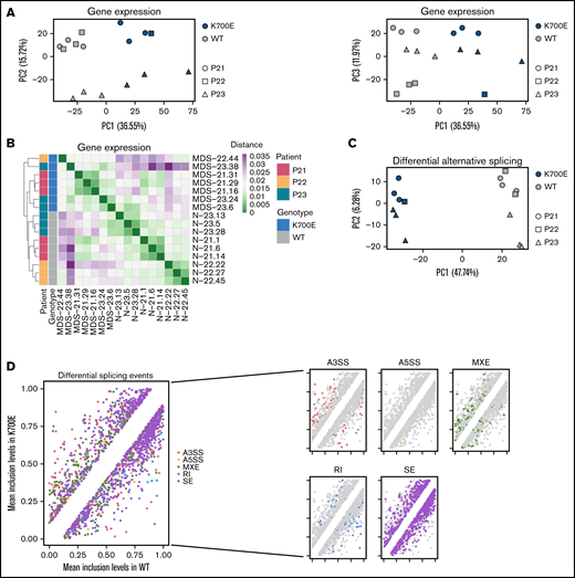 Integrative gene expression, alternative splicing, and transcript usage analyses categorize gene targets of mutant SF3B1. (A) PCA plots based on gene expression of the 3000 most highly variable genes color-coded by SF3B1 mutation status and sign-coded by patient ID. (B) Heatmap showing distance of the indicated iPSC-HSPCs based on pairwise Pearson correlation of their gene expression profiles, color-coded by SF3B1 mutation status and patient ID. (C) PCA plot based on inclusion levels of the differentially spliced events between SF3B1K700E and SF3B1WT iPSC-HSPCs. (D) Scatterplots comparing the mean inclusion levels of the differentially spliced events in SF3B1K700E vs SF3B1WT iPSC-HSPCs with different event types broken down by color, as indicated. (E) Schematic summarizing the integrative analysis used to derive a mutant SF3B1 signature of splicing events and genes and scatterplot showing inclusion level difference of all 59 signature splicing events, corresponding to 34 genes. A positive y axis value indicates that the event is more frequently found in SF3B1K700E vs SF3B1WT cells.