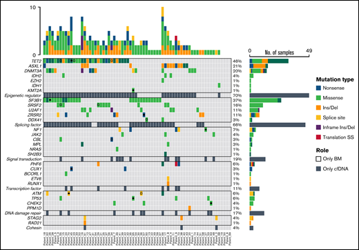 Distribution of mutations identified in BM DNA and cfDNA in 70 patients with MDS. Results of the sequencing are shown in the plot, where each column represents a patient and each row represents a gene. The number of mutations identified per patient is represented as columns above the top row. Genes are grouped by function and are in order from the most to the least frequently mutated. Frequencies for each gene are displayed at the right, as well as the mutation type (nonsense, missense, insertion/deletion, splice site or translation start site). Discordant mutations are represented with a square, as shown in the legend: filled squares show mutations only identified in cfDNA and unfilled squares show mutations only identified in BM DNA. Del, deletion; Ins, insertion; SS, start site.