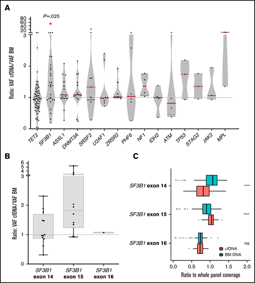 Comparison between VAF in cfDNA and BM DNA for each gene and characterization of SF3B1 mutations. (A) Ratio of the detected variants of the most frequently mutated genes in our cohort. The red lines indicate the median VAF ratio for each gene. Variants situated in the plot above the line had a higher VAF in cfDNA than in BM DNA, and variants below the line had a higher VAF in BM DNA. SF3B1 mutations were detected with a significantly higher VAF in cfDNA. (B) Ratio of the VAFs in SF3B1 mutations in exons 14, 15, and 16. Mutations in exon 15 of SF3B1 (K700E in all cases) presented a higher VAF cfDNA/BM ratio than mutations in SF3B1 exons 14 and 16. (C) SF3B1 read depth in BM and cfDNA. The ratio (read depth for the SF3B1 exon/whole panel read depth for that sample) for exons 14, 15, and 16 of the SF3B1 gene is shown for BM DNA and cfDNA samples. SF3B1 exon 15 was overrepresented in cfDNA libraries when compared with BM libraries. *P ≤ .05; ****P ≤ .0001; ns, not significant.