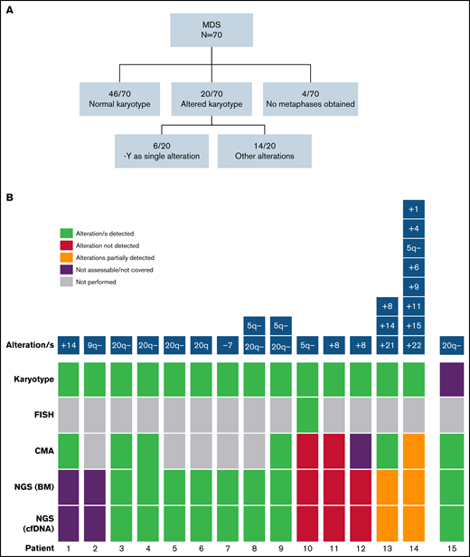 Detection of cytogenetic alterations in MDS patients. (A) Cytogenetic results obtained by karyotype at diagnosis. (B) Detection of cytogenetic alterations by conventional karyotype, FISH, CMA, and NGS. Two cases presented alterations not covered by the NGS panel (patients 1 and 2). 9 of 12 (75%) remaining cases with altered karyotype/FISH (patients 3-14 in the figure) were detected by NGS. Patient 10 presented a 5q− detected in a few metaphases and confirmed by FISH, and patients 11 and 12 presented a +8 detected by karyotype in few metaphases. In patient 13, +8 and +21 alterations were detected by NGS, whereas chromosome 14 was not covered by the design of the NGS panel. In patient 14, 5q− was the only alteration detected by both CMA and NGS because of sensitivity limitations. In a patient without analyzable metaphases (patient 15), 20q− was found by NGS and confirmed by CMA.