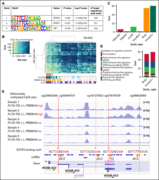 TF-binding motif analysis of genomic regions in which DNA methylation was different between FLT3-ITD+ and FLT3-ITD− AMLs. (A) The 3 TFs were confirmed by HOMER in the genomic regions ±200 bp in length adjacent to each of the 1243 CpG sites with a P value <1e−50. (B) hierarchical clustering of methylation levels at 135 CpG sites in the STAT5-binding sites was classified in 8 patients of cluster A in the first trunk. Eight patients with AML with FLT3-ITD in cluster A in Figure 3A are indicated by red arrows. (C) Genetic localization of 135 CpG sites for which the STAT5-binding motif existed nearby. (D) Annotation of candidate cis-regulatory elements (cCREs) in the gene body and intergenic CpG sites close to STAT5-binding motifs. (E) Chromatin accessibility of the genomic regions where STAT5 binds close to the methylation-changed CpG sites was analyzed in 5 patients using ATAC-seq. Some open chromatin regions in the HOXB-AS3 gene were identified only in patients with FLT3-ITD and high PRDM16 gene expression. Annotations of cCREs are described in panel D.