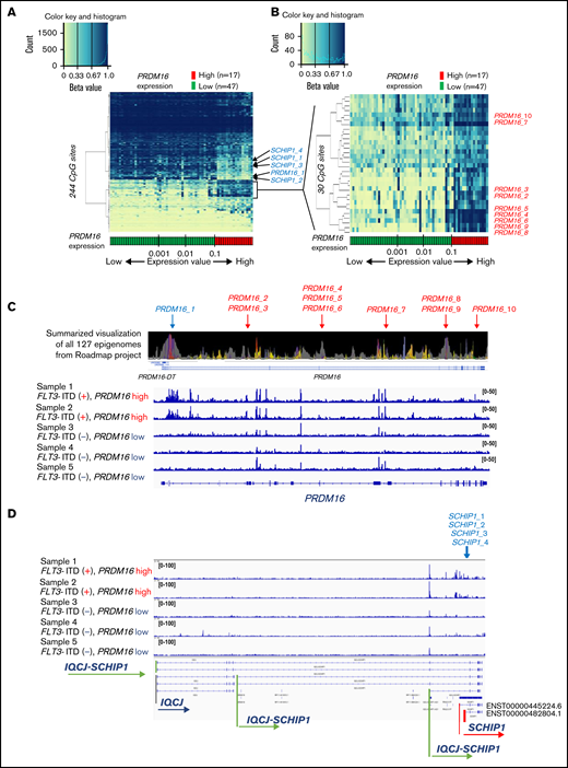 Strong associations of DNA methylation profiles with PRDM16 expression. (A) Heatmap of the DNA methylation profiles based on the methylation values of 244 CpG sites associated with PRDM16 expression. Arrangement of the 64 patients according to a series of PRDM16 expression values (more rightward column location indicates stronger PRDM16 expression) yielded 2 groups with distinct methylation patterns. This classification substantially distinguished patients with high and low PRDM16 expression. (B) Heatmap of 30 CpG sites associated with particularly large differences in methylation values between patients with high and low PRDM16 expressions. (C) Chromatin state annotations for the PRDM16 gene across 127 reference epigenomes based on the National Institutes of Health Roadmap project and chromatin accessibility of the PRDM16 gene in 5 patients with pediatric AML. Chromatin status is indicated by color information, such as purple for bivalent chromatin and gray for repressed polycomb. Supplemental Figure 9 provides details. Only 10 CpG sites among the 649 array probes corresponding to PRDM16 exhibited significant differences in methylation according to PRDM16 expression levels. (D) TSSs of SCHIP1 in which 4 CpG sites were included in the 244 CpG sites opened specifically in the 2 AMLs with high PRDM16 expression.