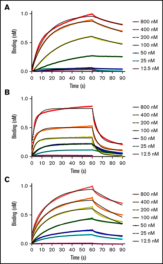 BLI binding measurements. Apparent binding rates and affinities for fVIIIa (A), fIXa (B), and Xase (C) (1:1, fVIIIa:fIXa) were determined by BLI using immobilized His6-tagged lipid nanodiscs. Step-corrected association and dissociation steps were measured for 60 seconds and 30 seconds, respectively, over a serial dilution of each sample (spheres). The association and dissociation binding kinetics were calculated from a global fit using a 1:1 binding analysis (black line) (GraphPad Prism 5.0) and used to calculate KD values (koff/kon). Results are summarized in Table 1.