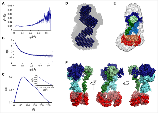 SAXS analysis of nanodisc-bound Xase complex. (A) Kratky plot analysis. (B) Scatter curves for experimental data (blue) and theoretical model (black, χ2 = 0.25). (C) Pairwise distribution function. Inset depicts experimental data (blue) and an indirect Fourier transform of the P(r) distribution plot (black), showing strong agreement between both sets of data. (D) Ab initio bead models calculated using DAMAVER (faded) and DAMFILT (solid) and aligned by SUPCOMB. (E) Alignment of modeled tenase complex bound to a lipid nanodisc in sphere representation (fVIIIa heavy chain: dark blue; fVIIIa light chain: cyan; fIXa heavy chain: light green; fIXa light chain: dark green; scaffold protein: red; lipids: light orange) with the calculated ab initio envelope (mesh) by SUPCOMB. (F) Model of the nanodisc-bound Xase complex (fVIIIa heavy chain: dark blue; fVIIIa light chain: cyan; fIXa heavy chain: light green; fIXa light chain: dark green; scaffold protein: red; lipids: light orange).