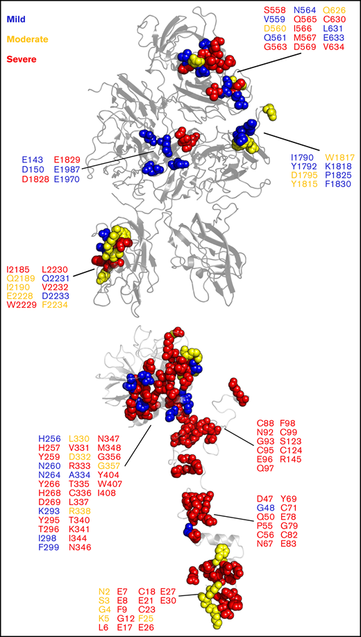 Hemophilia A- and hemophilia B-related mutations to fVIIIa/fIXa dimer interface. Mutations at the fVIIIa:fIXa interface were identified from the CHAMP and CHBMP database, as collated by the Centers for Disease Control, and depicted in sphere representation on the crystal structure of human fVIII (PDB ID: 6MF2, top) for hemophilia A and SWISS-MODEL of human fIXa generated from porcine fIXa (PDB ID: 1PFX, bottom, Human Genome Variation Society (HGVS) numbering) for hemophilia B. Residues are colored by disease severity (blue: mild; yellow: moderate; red: severe).
