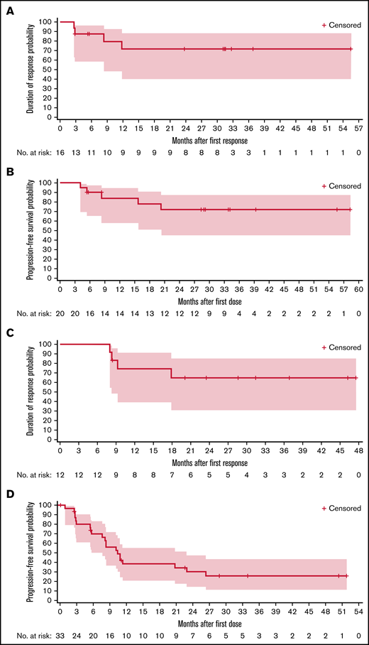 Kaplan-Meier plots. (A) DOR with zanubrutinib treatment per IRC assessment for patients with MZL. (B) PFS with zanubrutinib per IRC assessment for patients with MZL. (C) DOR with zanubrutinib per investigator assessment for patients with FL. (D) PFS with zanubrutinib per investigator assessment for patients with FL.