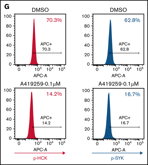 SYK activation is driven by the SFK HCK in MYD88 mutated lymphoma cells. (A) Relative p-HCKTyr410 levels by PhosFlow analysis following the treatment with dimethyl sulfoxide (DMSO) or the HCK inhibitor A419259 at the indicated concentrations for 1.0 hour in vector-only, HCKWT, or HCKThr333Met transduced BCWM.1 cells. (B) Relative p-SYKY525/526 levels by PhosFlow analysis following treatment with DMSO or A419259 at indicated concentrations for 1.0 hour in vector-only, HCKWT, or HCKThr333Met transduced BCWM.1 cells. (C) Relative p-HCKTyr410 levels by PhosFlow analysis following the treatment with DMSO or A419259 at indicated concentrations for 1.0 hour in vector-only, HCKWT, or HCKThr333Met transduced MWCL-1 cells. (D) Changes in p-SYKTyr525/Tyr526 levels following the treatment with DMSO or A419259 at indicated concentrations for 1.0 hour in vector only, HCKWT, or HCKThr333Met transduced MWCL-1 cells. The expression levels of total SYK in these cells as well as protein loading control GAPDH are also shown. (E) Relative p-HCKTyr410 levels by PhosFlow analysis following the treatment with DMSO or A419259 at indicated concentrations for 1.0 hour in vector only, HCKWT, or HCKThr333Met transduced TMD8 cells. (F) Changes in p-SYKTyr525/Tyr526 levels following the treatment with DMSO or A419259 at indicated concentrations for 1.0 hour in vector-only, HCKWT, or HCKThr333Met transduced TMD8 cells. The expression levels of total SYK in these cells as well as protein loading control GAPDH are also shown. (G) p-HCKTyr410 levels and p-SYKTyr525/Tyr526 levels by PhosFlow analysis following the treatment with DMSO or A419259 at the indicated concentrations for 1.0 hour in CD20+ gated patient with WM bone marrow lymphoplasmacytic cells. Above experiments were performed at least twice with representative results shown. Ab, antibody.