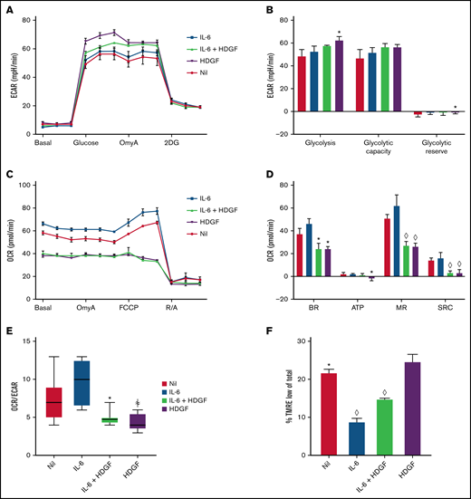 HDGF enhances glycolysis and reduces mitochondrial respiration in ALMC-2 cells. (A) ECAR measurements show that both HDGF and IL-6 + HDGF increase ECAR. (B) HDGF increases ALMC-2 glycolysis. (C) OCR measurements show a significant reduction of mitochondrial respiration in the presence of HDGF. (D) HDGF significantly reduces the basal rate (BR), ATP production (ATP), maximal respiration (MR), and spare respiratory capacity (SRC). (E) HDGF reduces the OCR:ECAR ratio. (F) Quantitative analysis of FACS data showing that HDGF increases the number of cells with impaired mitochondrial membrane potential (TMRE). Oligomycin A (OmyA), 2-deoxy-d-glucose (2DG), carbonyl cyanide p-(trifluoromethoxy) phenylhydrazone (FCCP), rotenone/antimycin A (R/A), and tetramethylrhodamine, ethyl ester (TMRE). Results shown are representative of duplicate determinations (A-D,F) and triplicate determinations (E). Means ± standard error are shown (n = 3). *P = .05; ꬸP = .01; and ◊P < .001. A-D: t test comparing nil to all other conditions. F: t tests comparing HDGF to all other conditions.