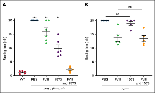 HAPC1573 (1573) reduces tail bleeding time of PROC+/+;F8−/− mice.PROC+/+;F8−/− mice (A) and F8−/− mice (B) were treated with either 0.05 IU per mouse of FVIII, 20 µg per mouse of anti-human APC antibody HAPC1573, or both in combination 30 minutes before the procedure. Tail tip bleeding time was recorded for a maximum of 20 minutes to avoid mortality caused by over bleeding. Pretreatment with PBS was used as a negative control. Data were expressed as mean ± SD. n = 6 mice per group. **P < .01; ***P < .001, ns, P ≥ .05 (1-way ANOVA test). ns, not significant; WT, tail bleeding time of WT mice.