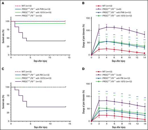 HAPC1573 (1573) antibody treatment significantly improves survival and ameliorates joint bleeding in a knee-joint injury model. The capsules of the right knee joints of anesthetized mice were punctured under the patella with a 30 × 0.5-G needle to induce joint bleeding. Knee diameter, before the needle injury and every other day during the 2 weeks after the injury, was measured with an electronic caliper, and the change of joint diameter was calculated as percentage of the before-injury value. (A,C) The survival rates of mice after the injuries. Survival curves were plotted using the Kaplan-Meier method. (B,D) Changes of knee bleeding represented as percentage of the knee diameter change. Data were expressed as mean ± SD. PROC+/+;F8−/− mice were pretreated for 30 minutes with either 2 IU per mouse of FVIII or 20 µg per mouse of 1573 (A-B). PROC+/+;F9−/− mice were pretreated for 30 minutes with either 2 IU per mouse of FIX or 20 µg per mouse of 1573 (C-D). **P < .01 (log-rank test).