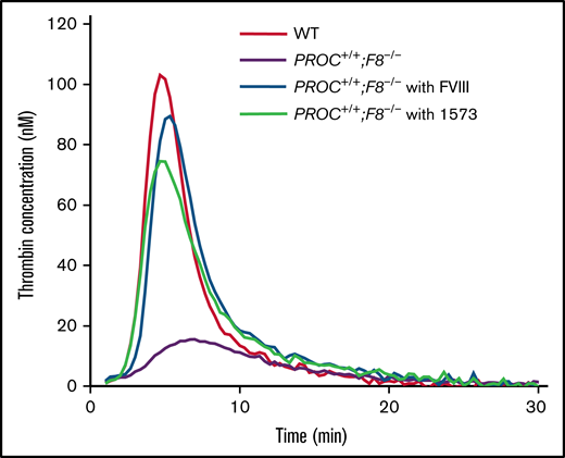HAPC1573 (1573) antibody treatment restores the thrombin generation of plasma from PROC+/+;F8−/− mice. Platelet-rich plasma was prepared from blood taken from mice (n = 3) in 4 groups as indicated. PROC+/+;F8−/−mice were pretreated with or without FVIII (2 IU per mouse) or 1573 (20 µg per mouse) 30 minutes prior to being euthanized. The profile of thrombin generation was a representative of triplicate samples.