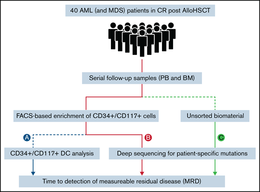 Study design. Processing of patient samples (PB and BM) for MRD detection using different methods: CD34+/CD117+ DC analysis (A); and targeted error-reduced deep sequencing of known leukemia-specific molecular lesions in sorted CD34+/CD117+ cells (B); or in unsorted material (whole blood) (C).