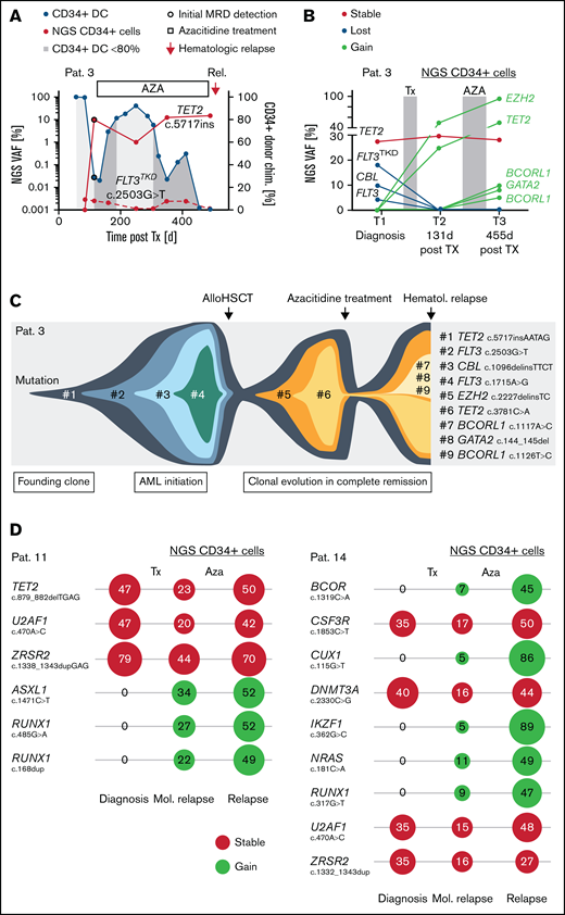 Early assessment of clonal trajectories in CD34+ cells. (A) MRD level after allo-HSCT in a patient with temporary response to AZA treatment. For NGS-based MRD assessment, 2 available molecular marker (FLT3 c.2503G>T and TET1 c.5717insAATAG) were used. (B) Results of the NGS panel analysis in sorted CD34+ cells of MRD-positive samples obtained 131 and 455 days after allo-HSCT. (C) Clonal trajectories depicted from molecular profiles at AML diagnosis and CD34+ cells in complete hematological remission. (D) Detection of molecular lesions and corresponding variant allele frequencies (%) at AML diagnosis (gDNA from unsorted whole blood) and in CD34+ PB cells, sampled at the time of molecular relapse (after allo-HSCT) and hematological relapse (after AZA treatment) in 2 patients.
