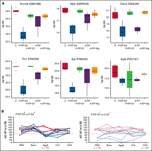 ITP affects specific platelet signalling pathways: proteomics and functional evidence. (A) Protein expression across ITP preclinical models of selected proteins and key players in hem-ITAM receptor (Gp6 and Clec2) signaling are represented. (B) Flow cytometry–based platelet aggregation assays were performed with platelets of the P-ITP model and respective controls at days 4 and 7 after platelet depletion. Studied single receptors by using the following agonists: PMA, botrocetin (Botro); aggretin A (AggA); collagen (Coll); convulxin (CVX). The area under the curve of each aggregation reaction was calculated and plotted after the average in control mice was set to 100, for each condition. The values obtained from platelets from the same mouse are joined by lines. At D4, P-ITP platelets had a homogeneous platelet aggregation profile, characterized by impairment toward AggA stimulation. At day 7, platelets from most of the mice showed a normal platelet aggregation profile, although not all mice had fully recovered platelets at that time point.