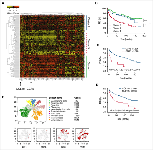 Expression of CCR8 and ligands in CTCL skin and correlation with prognosis. (A) Heatmap of the unsupervised hierarchical clustering of 157 CTCL patients according to the Nanostring gene expression of 78 genes in lesional skin. Arrows indicate CCR8 and CCL18 gene expression. (B) Kaplan-Meier PFS curves of 157 CTCL patients according to their gene expression cluster. (C) Kaplan-Meier PFS curves of 157 CTCL patients according to CCR8 expression in lesional skin. (D) Kaplan-Meier PFS curves of 157 CTCL patients according to CCL18 expression in lesional skin. (E) Single-cell RNA sequencing data representing expression patterns of CCR8 ligands. Red dots show the localization of CCL1, CCL16, CCL8, and CCL18 among cell populations in the skin of CTCL patients.