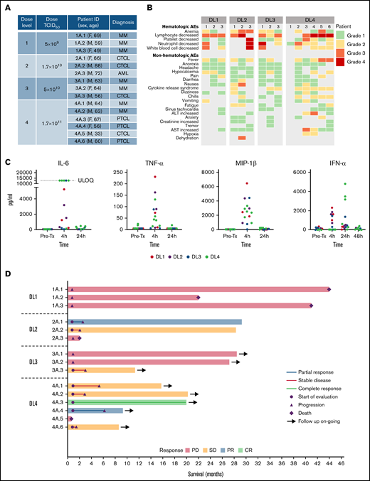 Clinical outcomes of treatment with 1 IV infusion of VSV-IFNβ-NIS. (A) Summary of patients treated in the study. (B) Maximum grade AEs by DL for each patient. (C) Levels of selected cytokines/chemokines before and after VSV infusion. (D) Swimmer plot (n = 15), in which each bar represents an individual patient as designated. Day 28 responses are indicated. Bars with solid arrows show patients with an ongoing response. ULOQ, upper limit of quantitation.