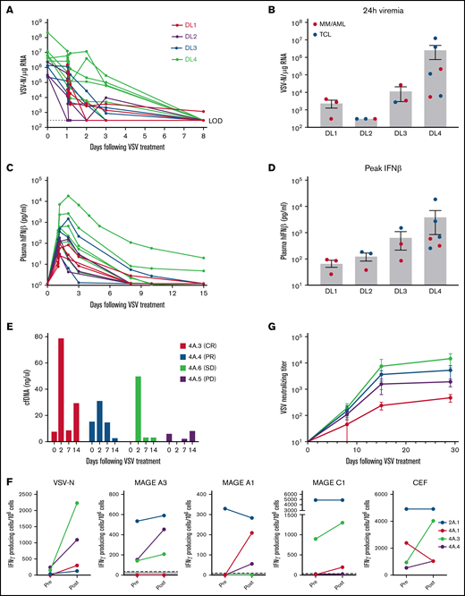Pharmacokinetics and pharmacodynamics of VSV-IFNβ-NIS after IV infusion. (A) Profile of viremia (VSV-N RNA in blood) in each patient measured at baseline, end of infusion, 30 minutes, 60 minutes, 4 hours, 24 hours, and 3, 8, 15, and 28 days after VSV. (B) 24-hour viremia levels of each patient at all DLs. Corresponding plasma IFN-β profile (C) and peak IFN-β levels (D) per DL. (E) Cell-free DNA in plasma of patients. (F) IFN-γ ELISPOT assay for T cells reactive against select tumor antigens, VSV-N, or cytomegalovirus, Epstein-Barr virus, and Flu virus positive control. (G) Anti-VSV neutralizing antibody titers (average of patients per DL). Mean ± standard error of the mean shown where applicable.