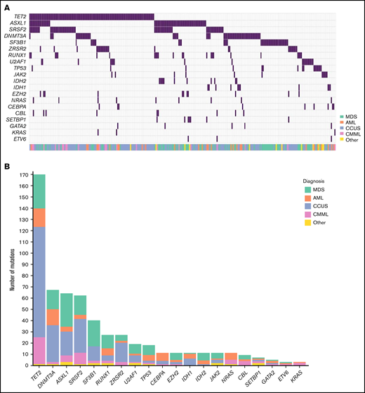 Mutational landscape of 508 patients with cytopenia. (A) Distribution of mutations in 20 genes associated with myeloid malignancies in 508 cases of patients with cytopenia. (B) Frequency of mutations identified in the cohort with diagnosis indicated by the respective colors.