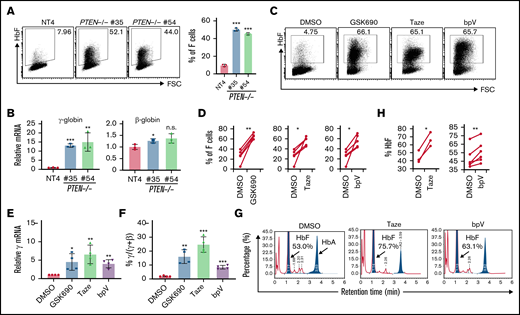 Deletion and pharmacological inhibition of PTEN induces γ-globin. (A) HbF induction in 2 independent PTEN-deficient clonal HuDEP2 cell lines (PTEN−/− #35 and #54) compared with control cells (nontargeting-4), as demonstrated by HbF staining and flow cytometry (n = 3). (B) Analysis of γ-globin and β-globin mRNA levels in PTEN-deleted clonal cells (n = 3). (C-F) CD34+ cells isolated from healthy donors were differentiated into erythroid cells and treated with LSD1 (GSK690), EZH (Taze), or PTEN inhibitors (bpV), showing induction of HbF with all 3 compounds, as demonstrated by HbF staining and flow cytometry (C-D; n = 5) and mRNA analysis (E-F; n = 4). (G-H) CD34+ cells isolated from β-thalassemia patients were differentiated into erythroid cells and treated with EZH (Taze, n = 3) or PTEN (bpV, n = 6) inhibitors. Both compounds result in HbF induction by high-performance liquid chromatography analysis. Data are shown are means ± standard deviation (A-B,E-F: **P < .01; ***P < .001; n.s., not significant; unpaired Student t test; D,H: *P < .05; **P < .01; paired Student t test).